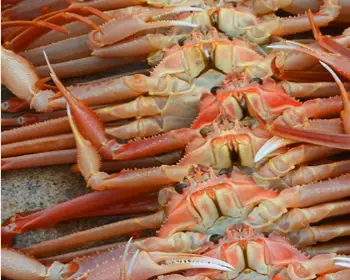영덕 대게축제_8