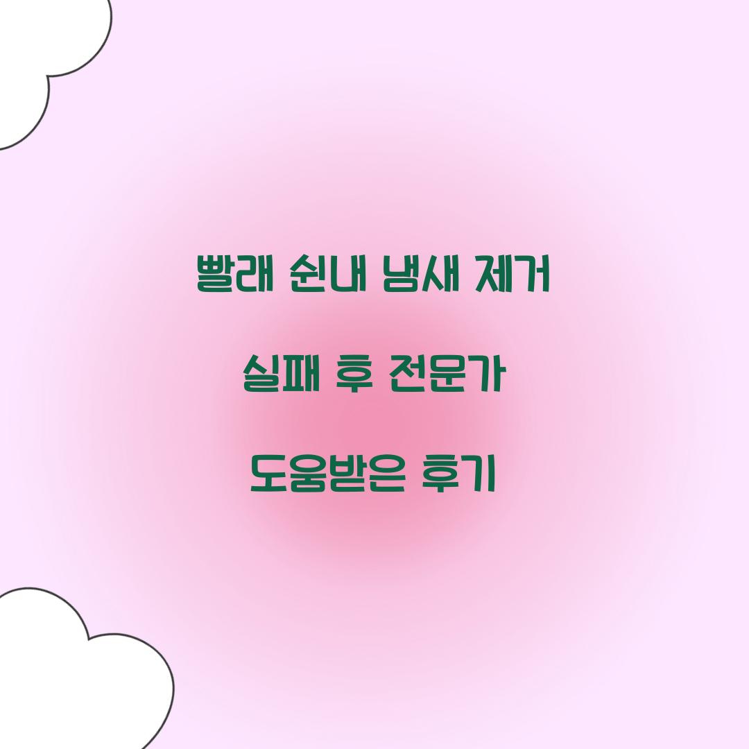 빨래 쉰내 냄새 제거 실패 후 전문가 도움받은 후기