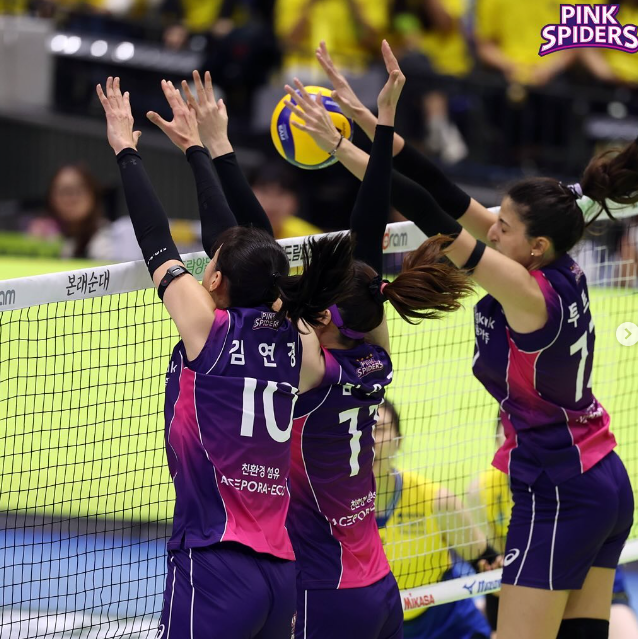 흥국생명 배구단