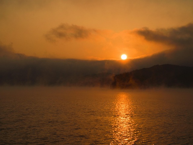 2026년 신년운세