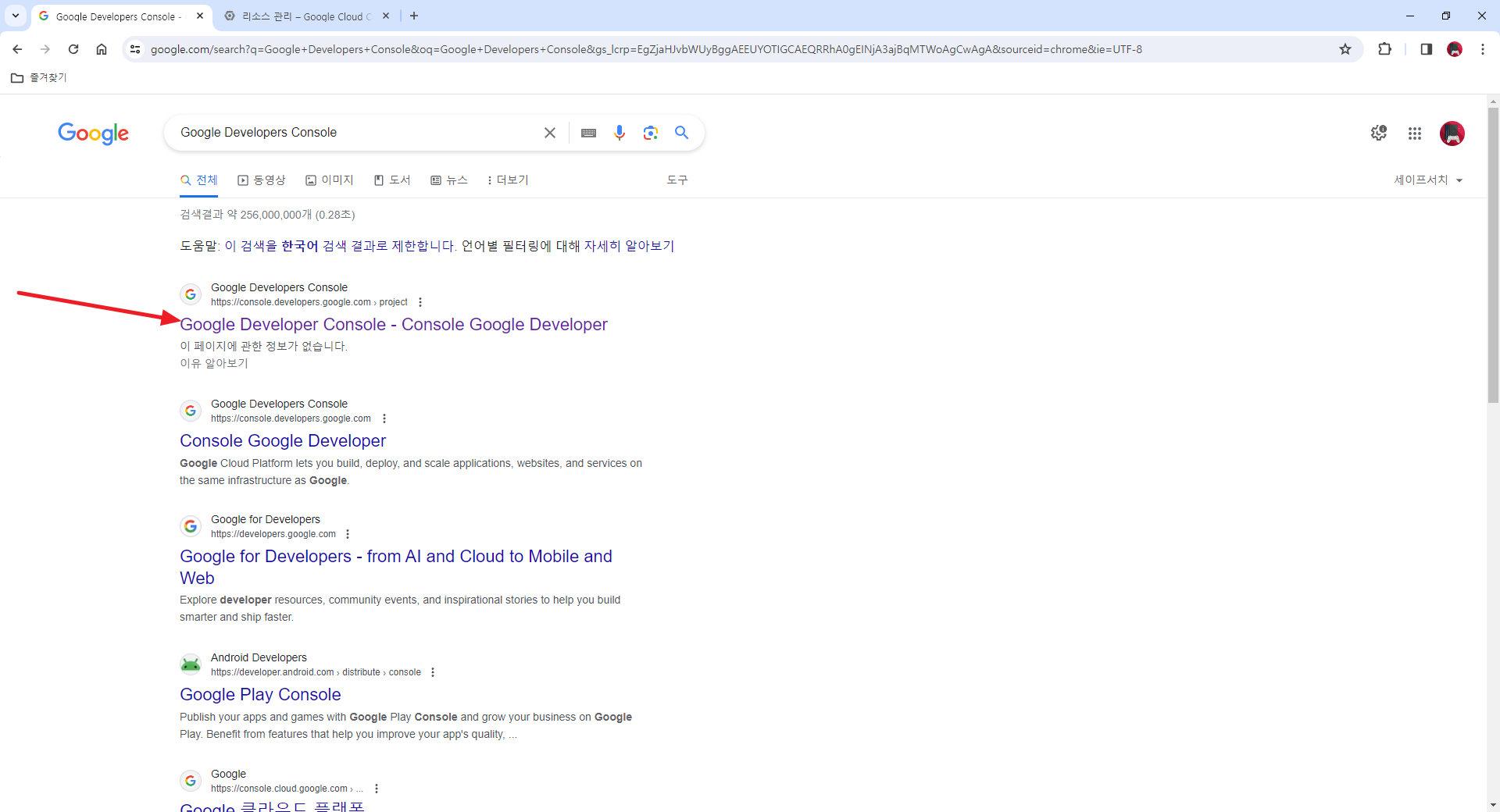 Google Developers Console 사이트 안내