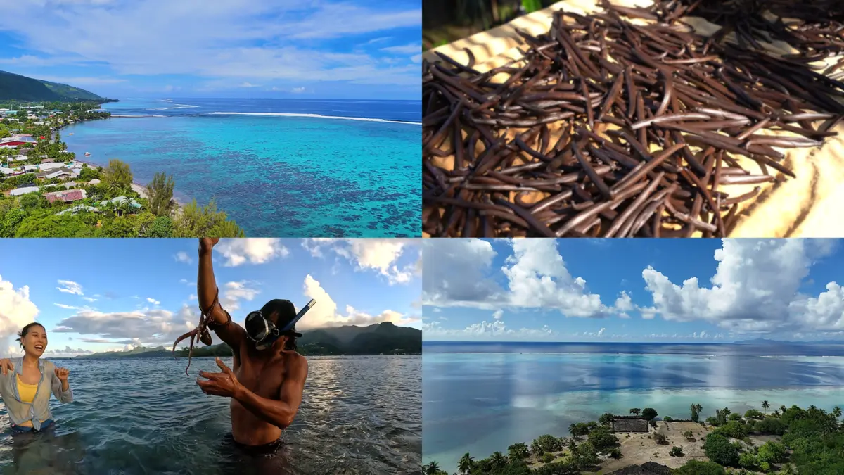 세계테마기행 - 타히티