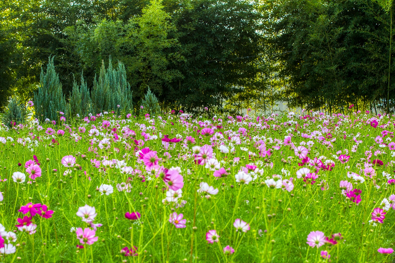 구리 한강공원- 22