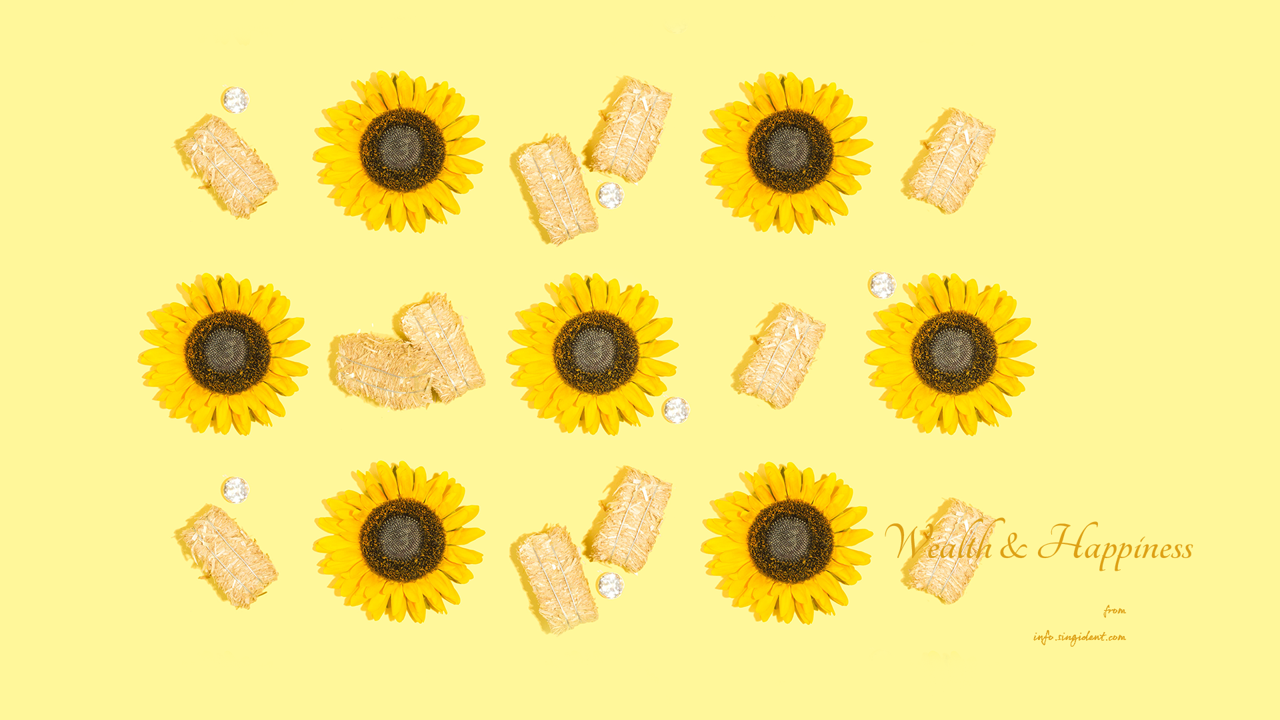 05 7개의 해바라기 C - Wealth and Happiness 돈들어오는배경화면