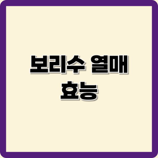 보리수 열매 효능 올바른 먹는법과 부작용