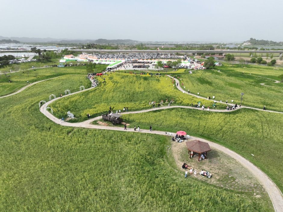 부여세도 방울토마토 유채꽃축제 / 사진출처=한국관광공사