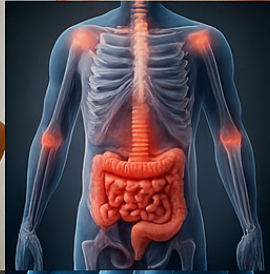 콘드로이친1200mg