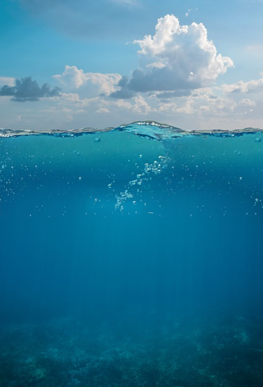 수중 사진 촬영: 물속에서 포착하는 신비로운 순간들