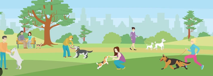 강아지(반려견)의 사회화 훈련 이미지