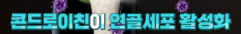 콘드로이친