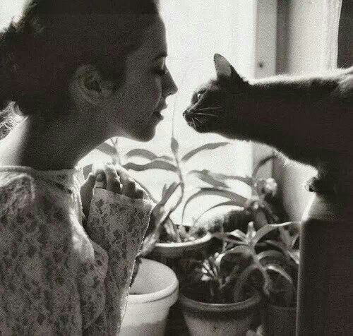 고양이가 먹어도 되는 사람음식