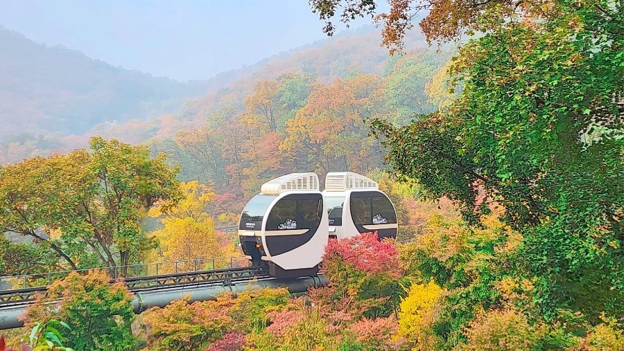 화담숲 모노레일