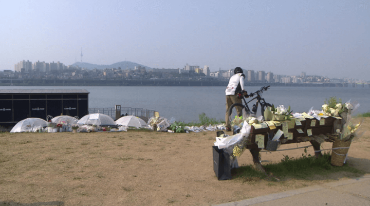 한강-손정민군추-추모-꽃다발