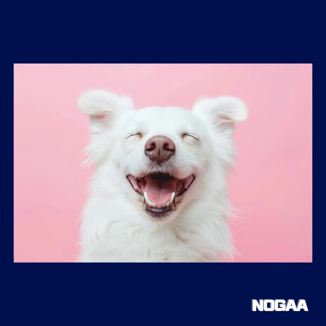 강아지 정신 질환의 원인