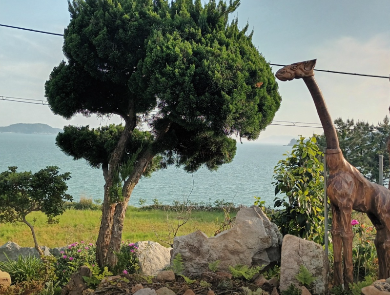 솔고지펜션 정보 안내