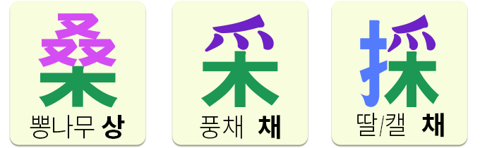 桑(뽕나무 상)&#44; 采(풍채 채)&#44; 採 (딸/캘 채)