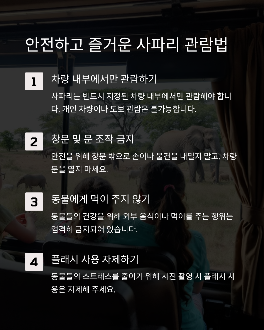 에버랜드 자유이용권으로 사파리 즐기기! 대기 없이 즐기는 법