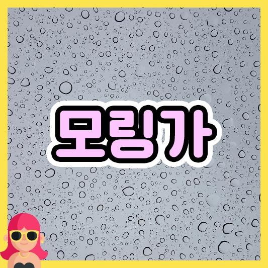 섬네일 모링가