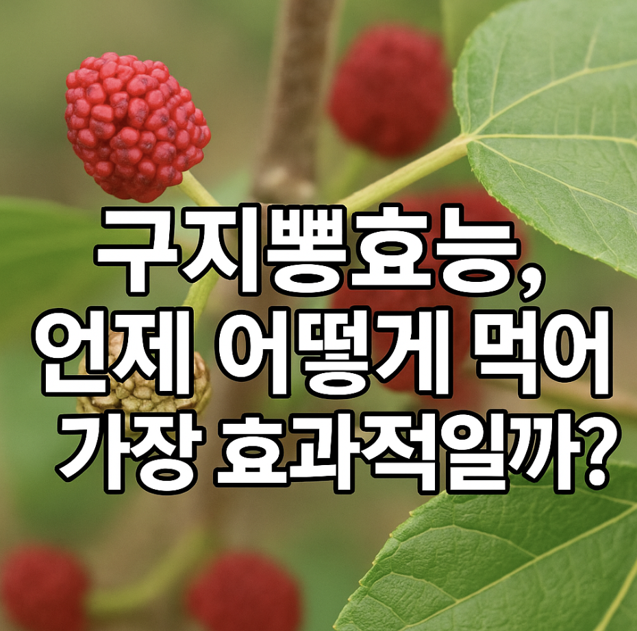 구지뽕효능, 언제 어떻게 먹어야 가장 효과적일까?