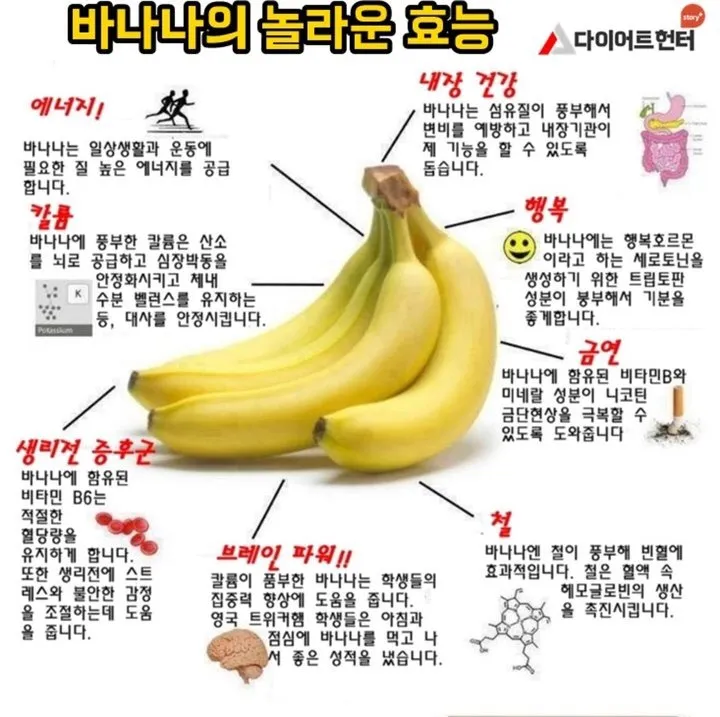 바나나 효능 식이섬유 포만감 운동 전후 효과_2