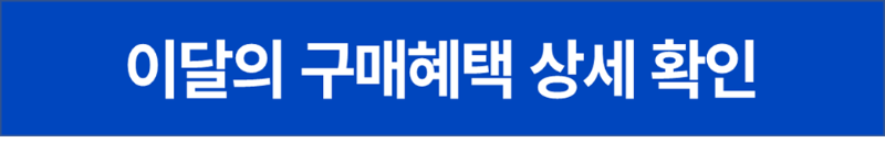 현대자동차 이달의 구매혜택