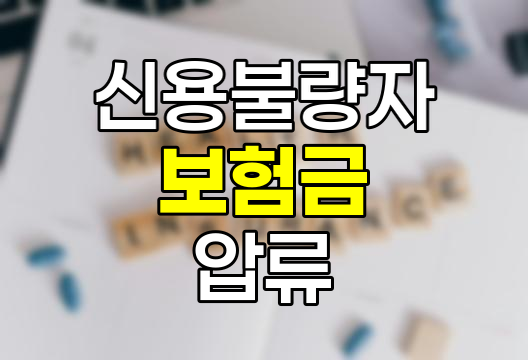 신용불량자 보험금 압류 실태와 대응책