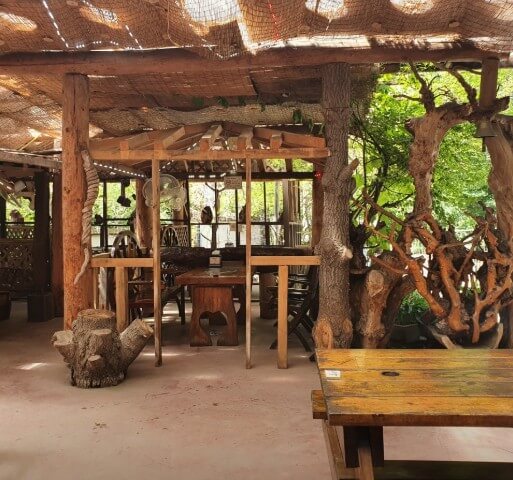 오늘N식큐멘터리 버섯전골 위치