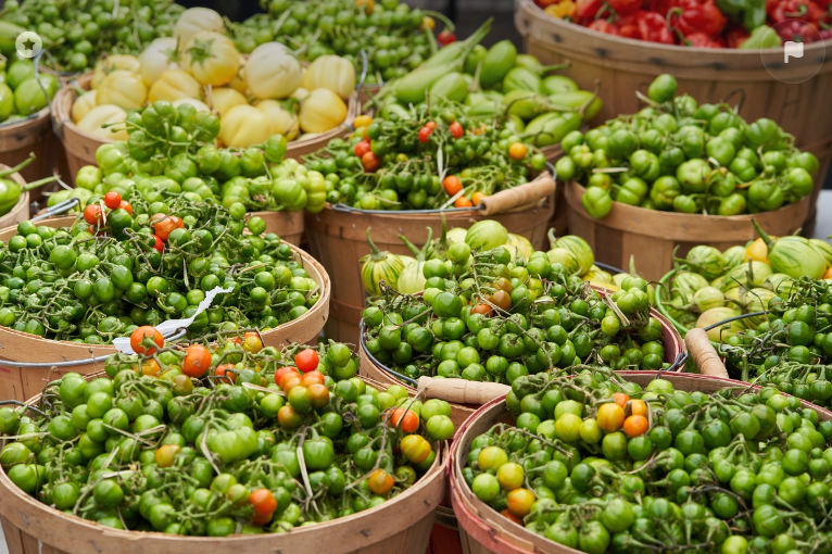 농산물 온라인 판매 방법: 스마트스토어, 쿠팡, 네이버 완벽 가이드