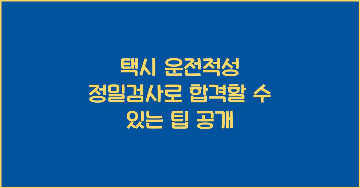 택시 운전적성 정밀검사