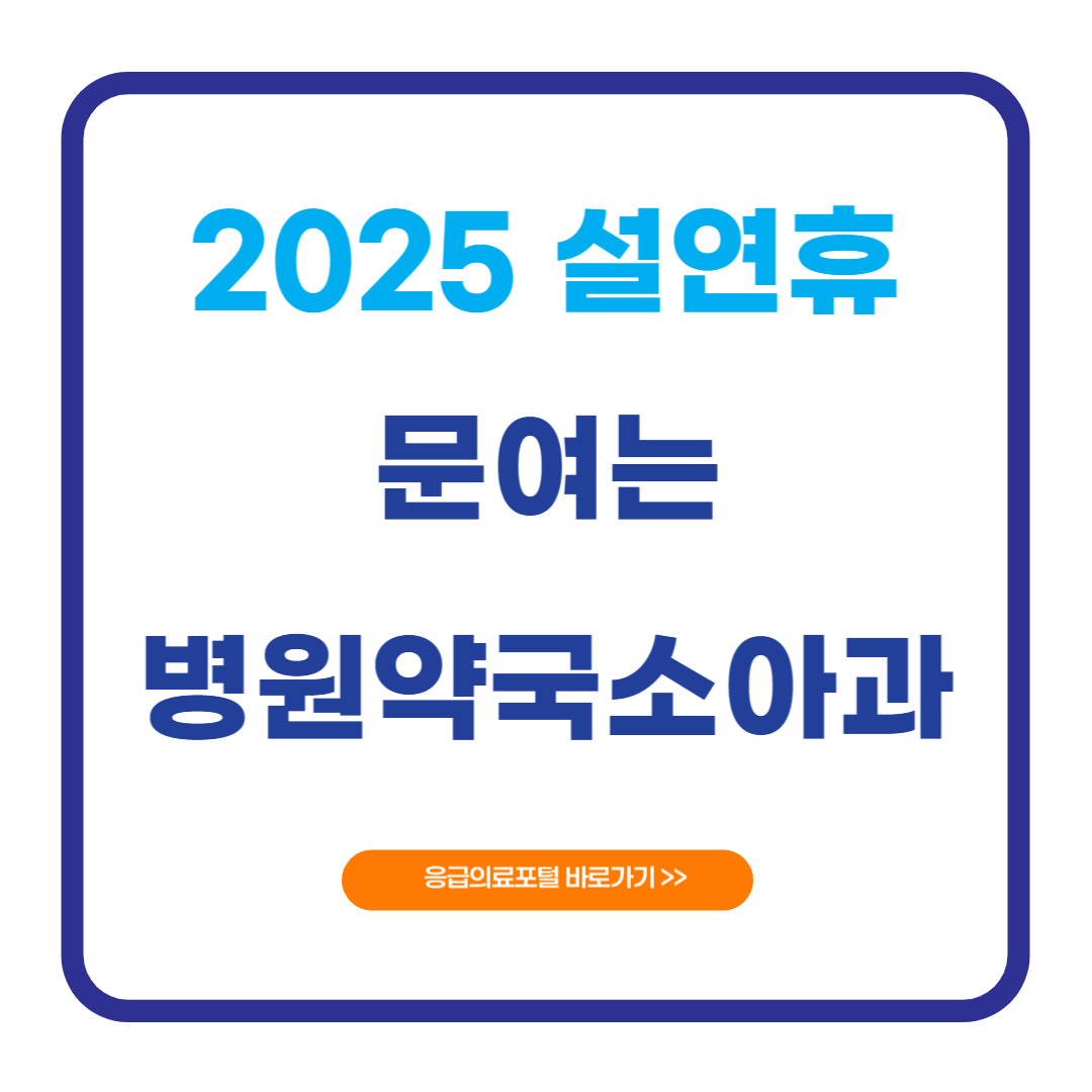 2025 서울시 설연휴 문여는 병원 약국 소아과 찾기