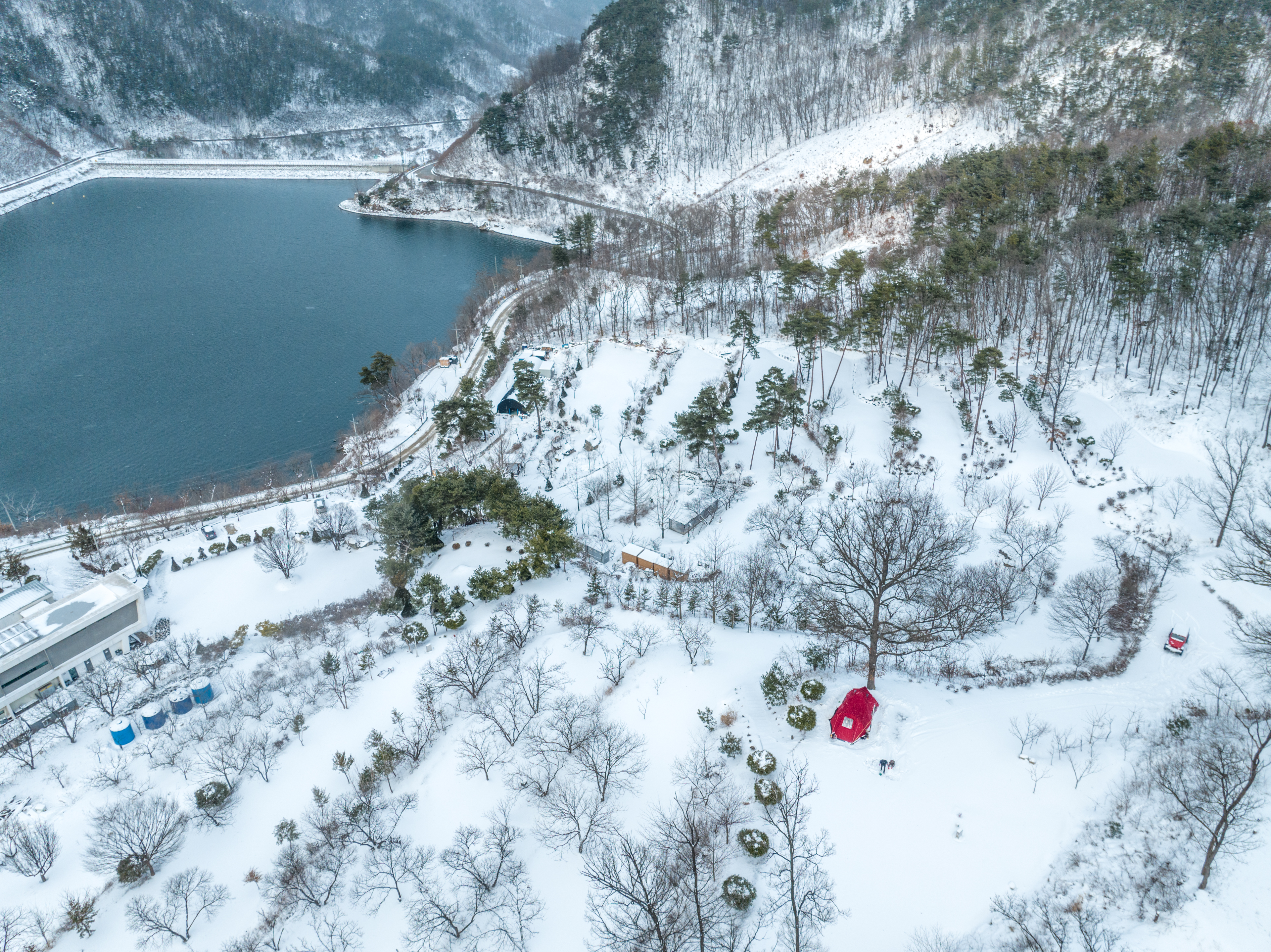 겨울 마로니에 숲 캠핑장