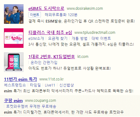 esim 인터넷 검색