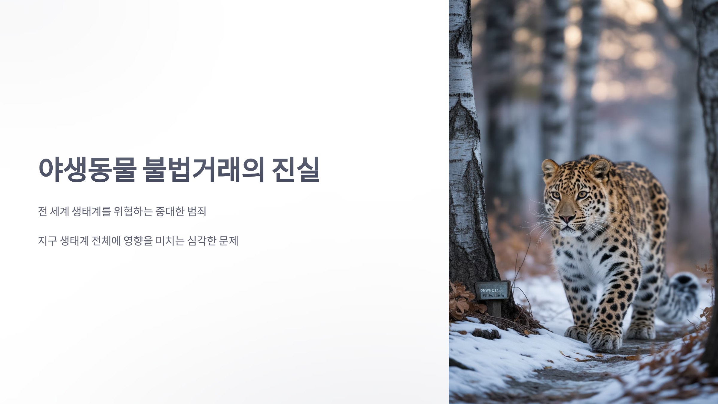 참조-야생동물-불법거래-1