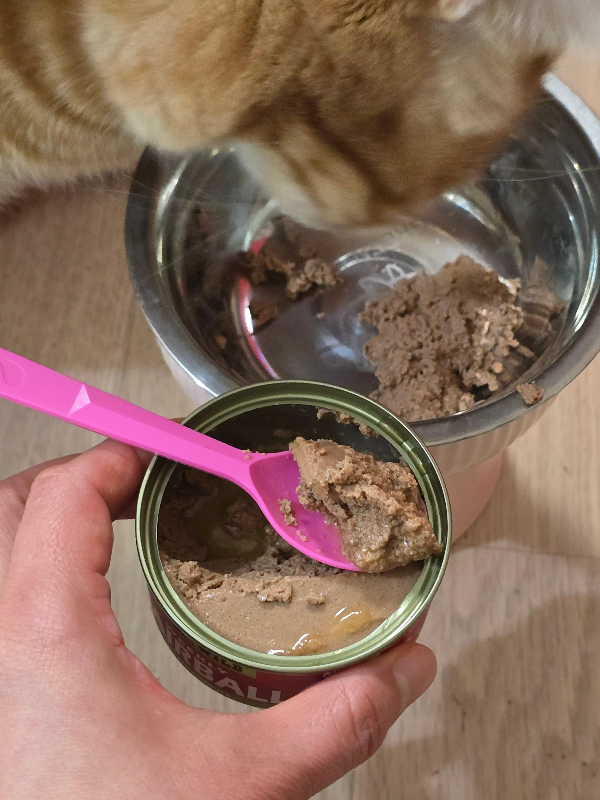 에프디와일드주식캔 후기2