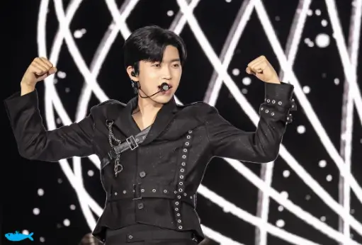 임영웅 뉴스 기사 모음