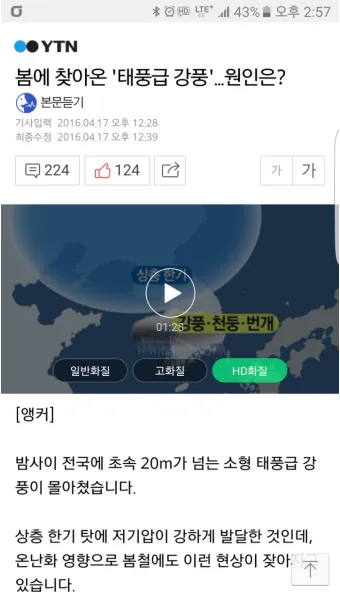 봄철 강풍 꽃가루 농도 알레르기 마스크 관리_15