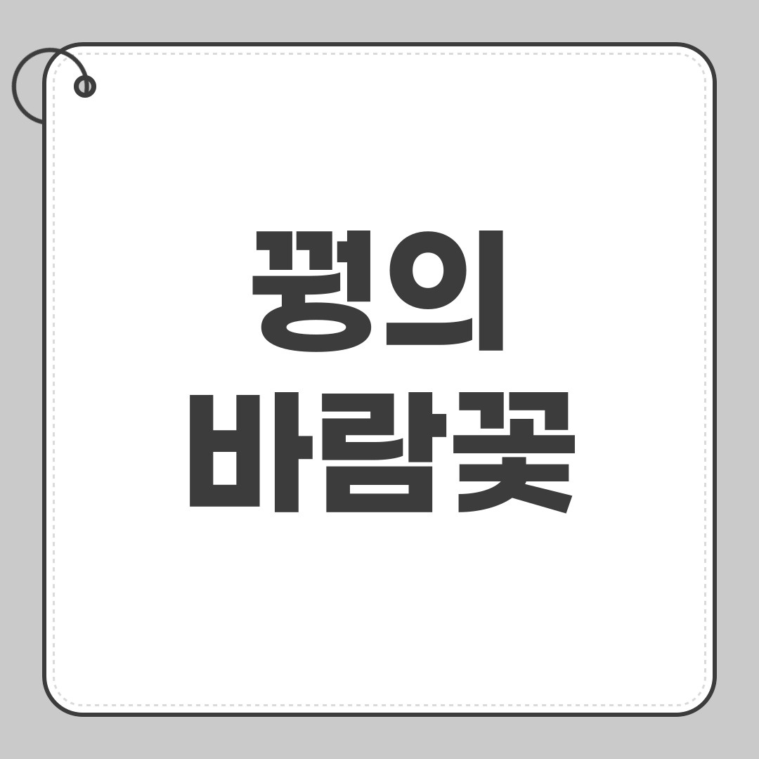 꿩의바람꽃