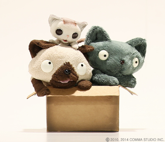 고양이는 왜 박스 안에 들어가는 걸 좋아하나요