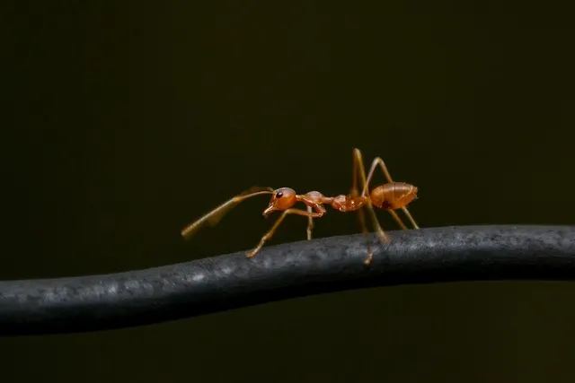 퇴근 후 2시간 혼자 노는 법 모음zip_8