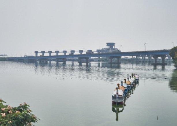 2024년 해돋이 축제