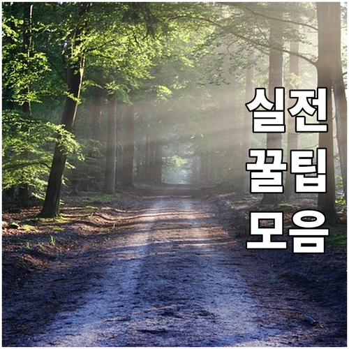 금천구 전세사기 지원 2025년 신청..