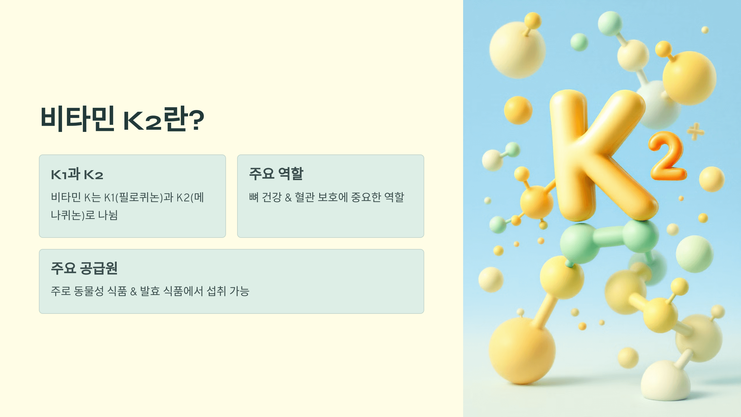 비타민K2와 관련된 사진입니다.
