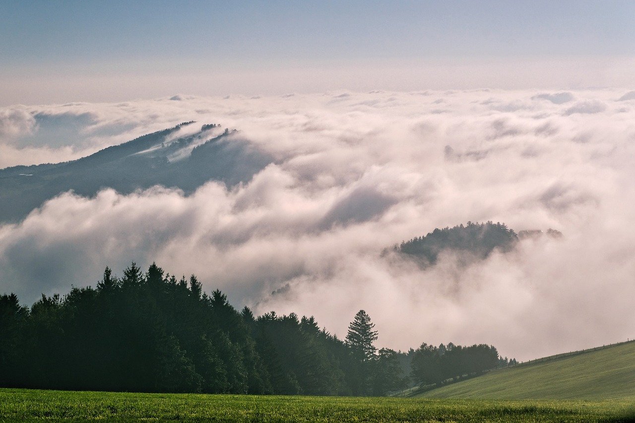 AIBT 자격증 2025&amp;#44; AI 실무형 자격