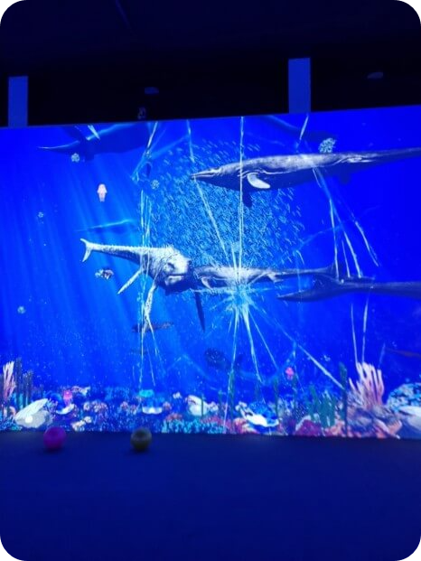 바닷속 공룡 영상