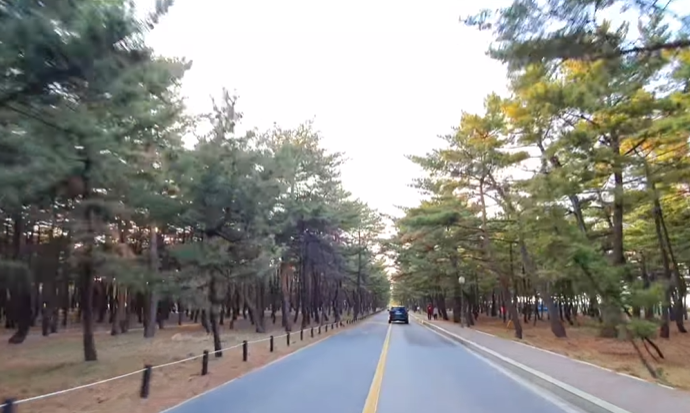 강릉 여행코스 추천