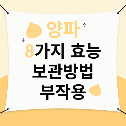 양파 효능/보관방법/ 부작용