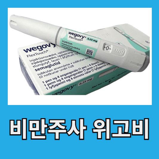 비만주사 위고비 후기 효과 부작용