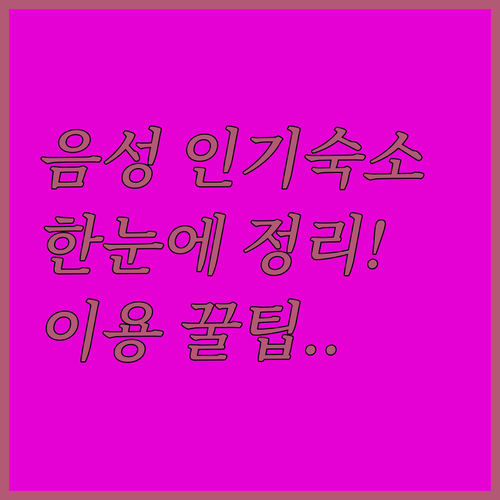 음성 MK호텔 첼로 몰디브 아리아까지..