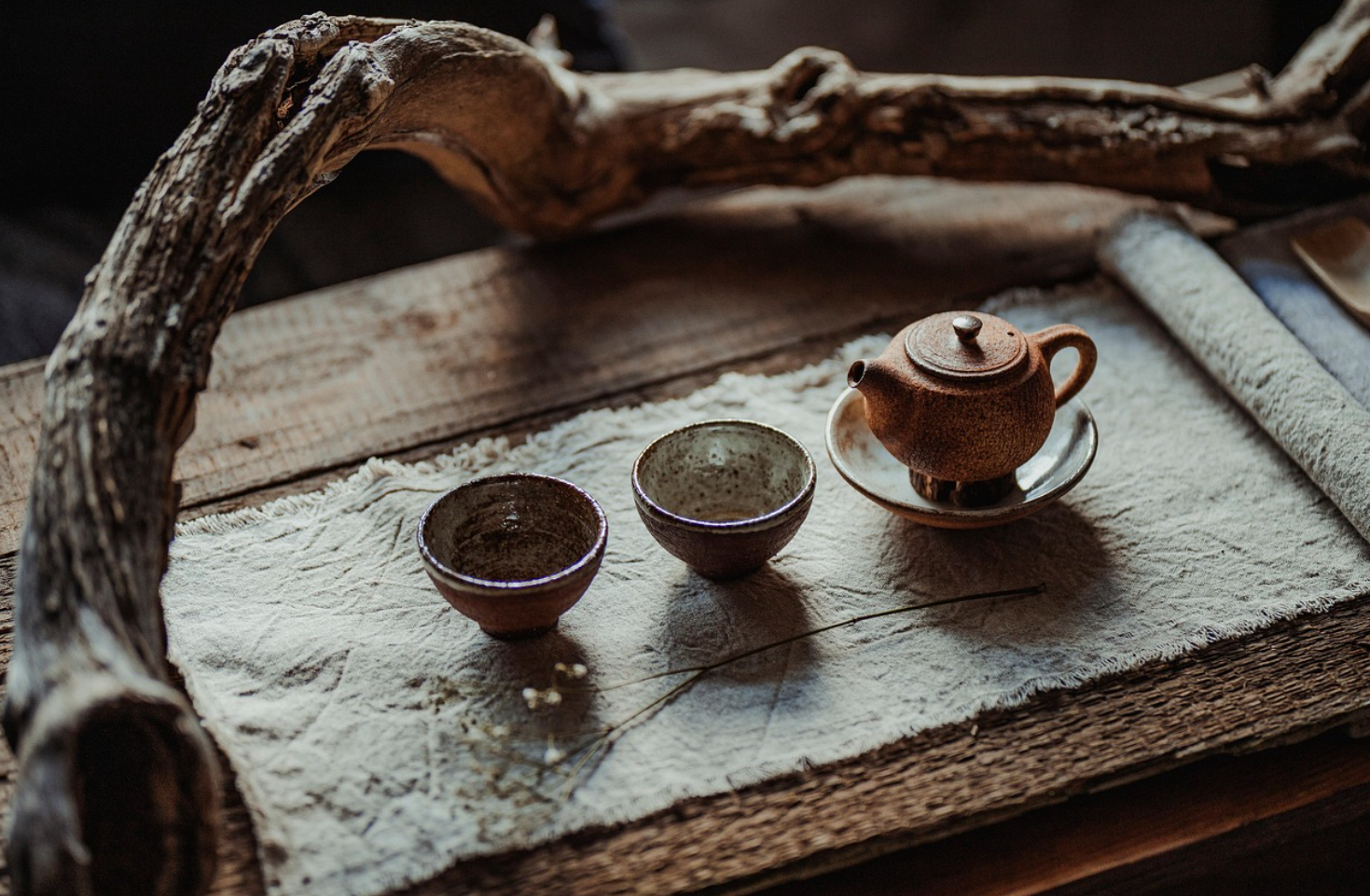 일본 다도 사진