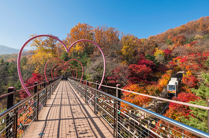 단풍 명소